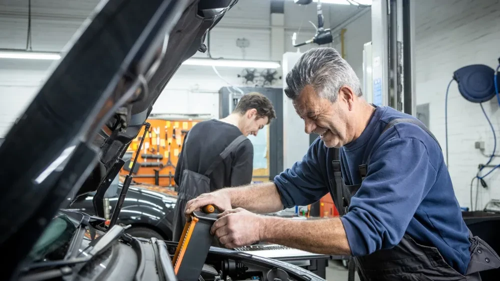 Foto - Bergen op Zoom - Aan het werk